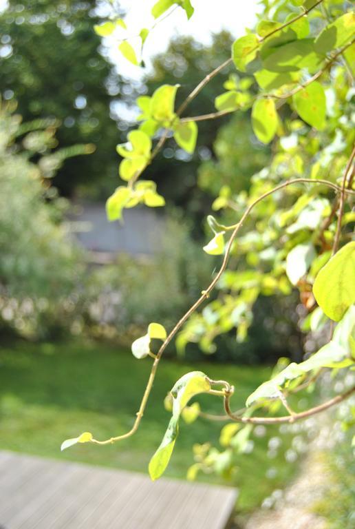 Cottage Les Quatre Saisons Giverny Ruang foto